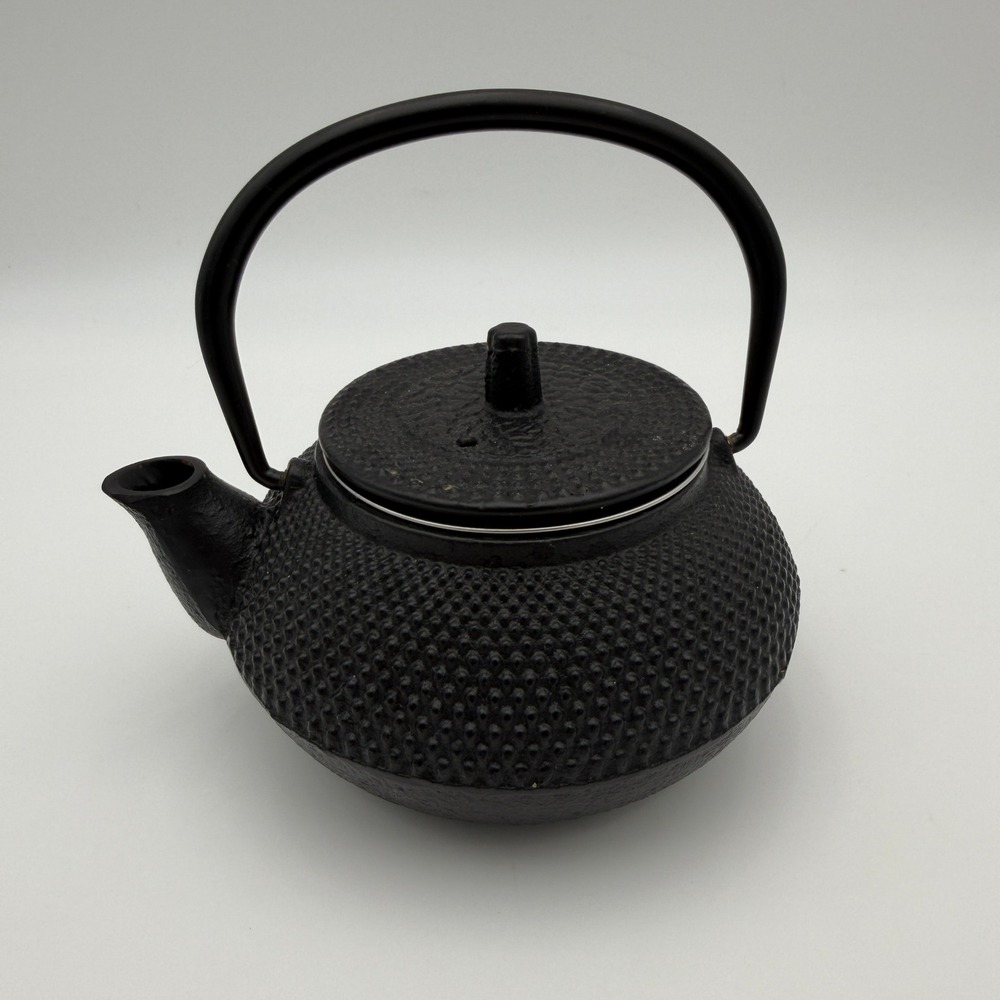 Black Cast Iron Hobnail Teapot Japanese Tetsubin with Mesh Tea Infuser 20oz